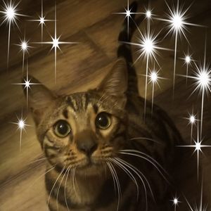 Meet your Posher, Danika